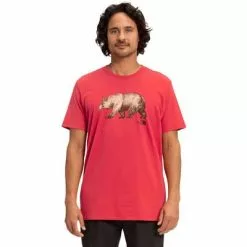 The North Face Short-Sleeve The North Face Bear Tee Men's -Hot Sale Clothing Store 101351 ROCOCCO RED m