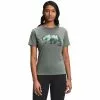 The North Face TNF Bear Short-Sleeve Tee Women's