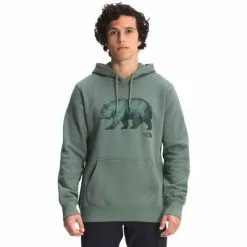 The North Face TNF Bear Pullover Hoodie Men's -Hot Sale Clothing Store 103656 LAURELWREATHGRN m