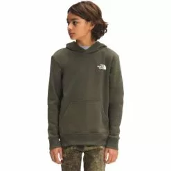 The North Face Camp Fleece Pullover Hoodie Boys' -Hot Sale Clothing Store 103882 NEW TAUPE GREEN m