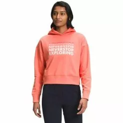 The North Face Logo Play Hoodie Women's