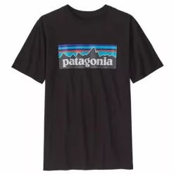 Patagonia Regenerative Organic Certified Cotton P-6 Logo T-Shirt Kids'