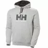 Helly Hansen HH Logo Hoodie Men's