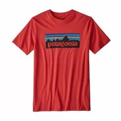 Patagonia P-6 Logo Organic T-Shirt Boys' -Hot Sale Clothing Store 35851 FIRE m