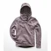 The North Face Crescent Hooded Pullover Women's