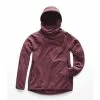 The North Face Glacier Alpine Pullover Hoodie Women's