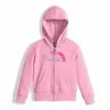 The North Face Logowear Full Zip Hoodie Toddler