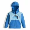 The North Face Logowear Full-Zip Hoodie Infant
