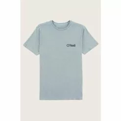 ONeill O'Neill Groomed Tee Men's