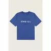 ONeill O'Neill Dug Tee Boys'
