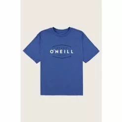 ONeill O'Neill Dug Tee Boys'