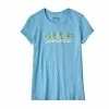 Patagonia Pastel P-6 Logo Organic T-Shirt Girls'