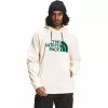 The North Face Tekno Logo Hoodie Men's