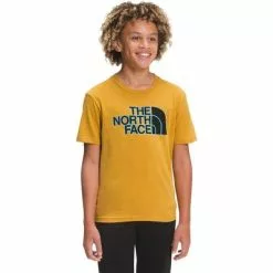 The North Face Graphic Short Sleeve Tee Boys' -Hot Sale Clothing Store 91602 GLDNSPCTNFBLCK m