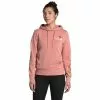 The North Face Himalayan Bottle Source Hoodie Women's